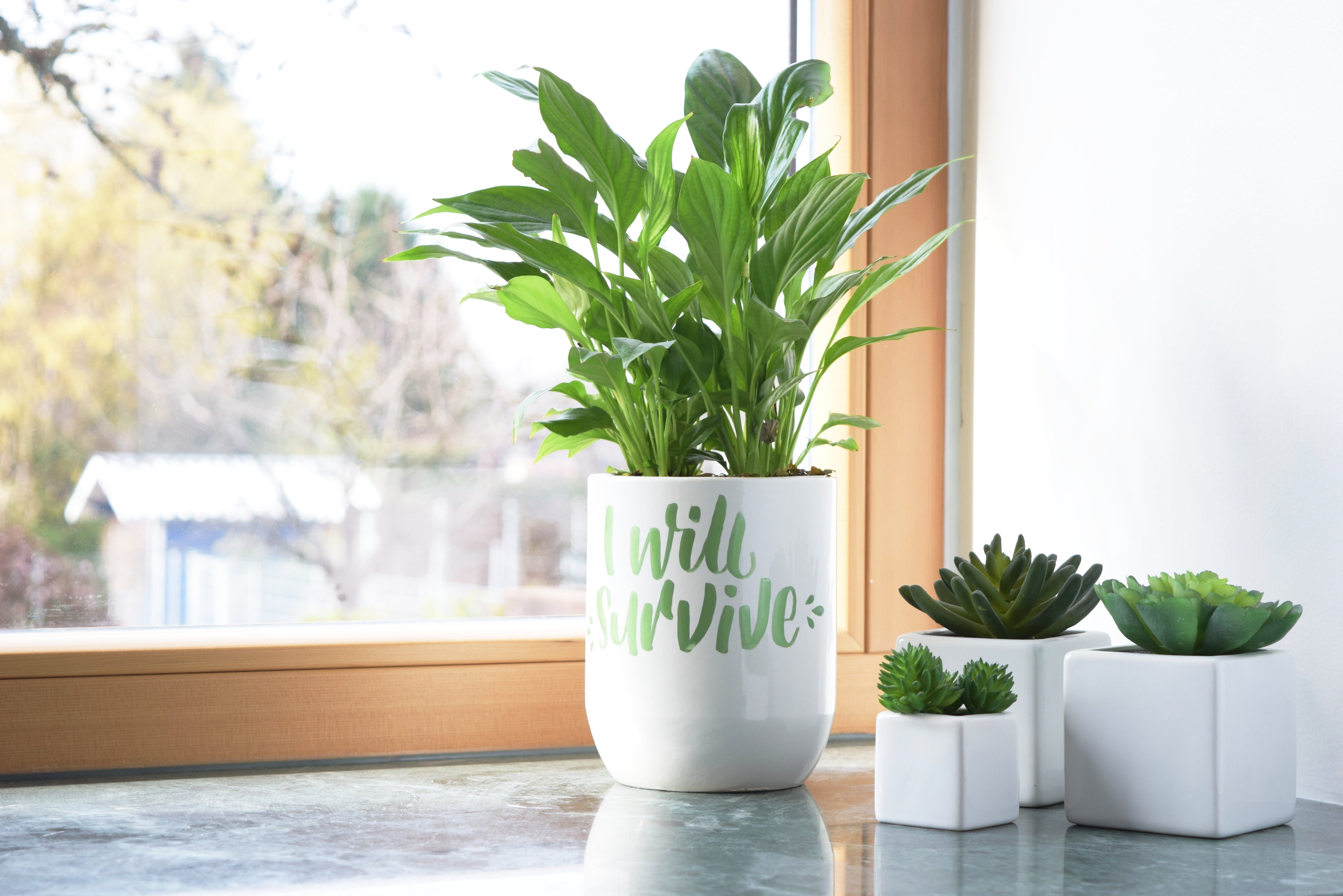 Posca Pc 1M Paint Markers Uni ball posca-pc-1m-paint-markers-uni-ball